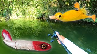 SILURE DANS MES PALMES AU WHOPPER PLOPPER \u0026 SUICIDE DUCK !