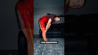 STOP Stretching Your Hamstrings!