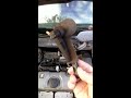 peugeot 206 starting problem