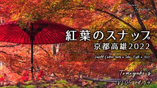 紅葉のスナップ 京都高雄2022｜Tokina atx-i 11-20mm F2.8 CF｜Canon EOS R7【VLOG Vol.54】