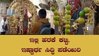 ಇಲ್ಲಿ ಹರಕೆ ಕಟ್ಟಿ, ಇಷ್ಟಾರ್ಥ ಸಿದ್ಧಿ ಪಡೆಯಿರಿ |OamTVkananda |Deguladarshana |Kalikadurga |Vidyaranyapura