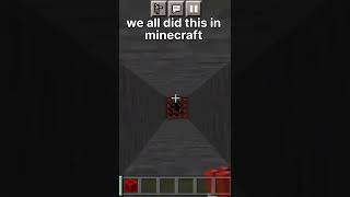 We all did this in minecraft | #shorts #youtubeshorts #short