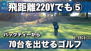 【ラウンド動画】PART 5/6 13H~15H ヘッドスピード39 飛距離220Yでもアベレージ70台のプレー/HDCP 2.8 トップアマのゴルフ 【多古CC】