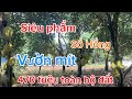 Vườn mít quá trời là trái