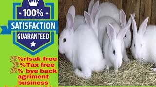 #contract farming profitable in India?💯%agriment #rabbit#farm #khargosh#farming ☝️🐰🐰🐰☝️