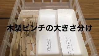 【自立課題】木製ピンチの大きさ分け