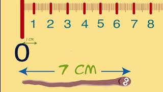 2. Sınıf Matematik - Uzunluk Ölçme: Standart uzunluk Ölçme Birimleri