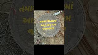 તમારા વિસ્તારમાં આ પાત્રને શું કહેવાય છે ?