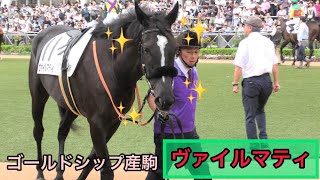 【ゴールドシップ産駒】今日も牡馬顔負けのイケ女っぷりなヴァイルマティ🐴✨