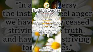 Buddha Quotes | Zen Motivation & Life Attitude | Daily Wisdom | Top Best WhatsApp Status #shorts 9