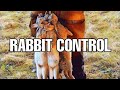 Download REYNOLDS RABBIT CONTROL ferreting new permission HS2016-17 V1 In Mp4 3Gp Full HD Video