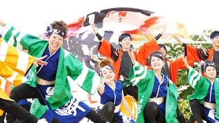 [4K]笑舞　2016犬山踊芸祭 石作公園メイン会場 1日目