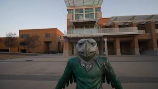 SOAR HIGHER // THE UNT UNION