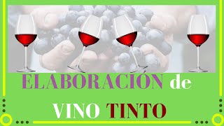 Elaboración de VINO TINTO🍷[Explicado]✅[Curso de vinos]