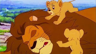SIMBA LE ROI LION | Partie 1 | Épisode Complet | Français | Simba The King Lion
