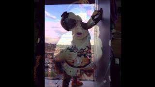 Bailey Memorial Video