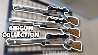 AIRGUN COLLECTION TOUR