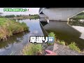 【バス釣り】埼玉県びん沼川で夏のハイシーズン釣行❗️暑い日はこの釣りがおすすめ✨