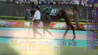 2014/6/15東京11R 第31回 エプソムカップ(ＧＩＩＩ) サラ系3歳以上 1800m 芝・左 （国際）（特指） オープン