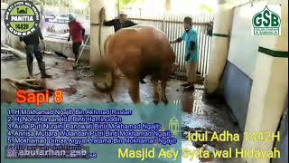 Potong Sapi Kurban | Idul Adha 1442H