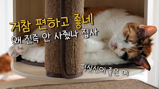 로자매 캣타워, 진작 사줄걸... | 디어캣 캣타워 조립기