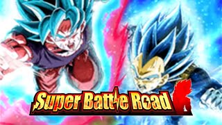 【ドッカンバトル】力戦奮闘でスーパーバトルロード！【Dragon Ball Z Dokkan Battle】