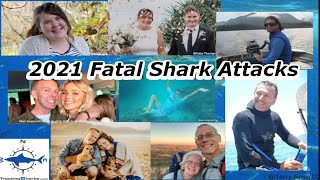 All 2021 Fatal Shark Attacks