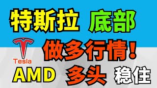 美股|特斯拉底部，抄底！AMD多头稳住！本期：SMCI AMD TSLA  NVDA AAPL AMZN MSFT META  GOOG AMSL COIN