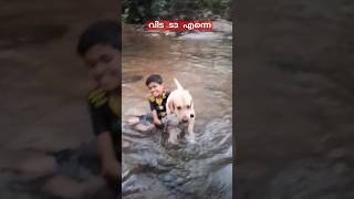 # മുക്കി കൊല്ലുന്നേ ഓടിവായോr#youtubeshorts #youtubevideos #doglover #labrador #youtubeshorts #love