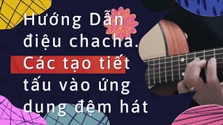 @Hướng Dẫn: Một số mẫu Điệu chacha Ứng Dụng cho đệm hát.