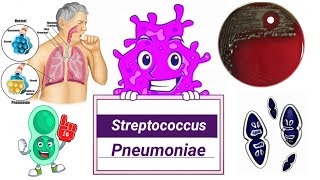 Streptococcus pneumoniae (English) - Microbiology