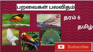 பறவைகள் பலவிதம்                          தரம் 6           தமிழ்