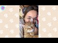 cats teach us love is the key to happiness ❤️ cute cat videos