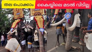 തല പൊക്കിയാലും തീറ്റ മുടക്കില്ല😘puthenkulam keshavan 🐘chirakkat ayyappan#elephant #festival #videos