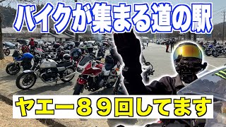 【モトブログ】バイクが多い道の駅目指したらヤエーが８９回できたwバイクに乗ってYAEHした気分になれる ninja250 愛知ツーリング 2023年3月11日 晴れ時々曇り