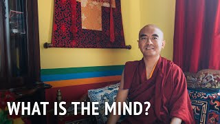 What is the Mind? | Mingyur Rinpoche