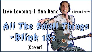 All The Small Things - Blink 182 (Live Looping Cover)