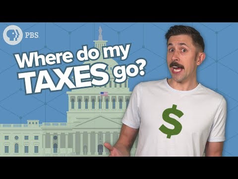 Where does government money go?