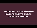 PYTHON : Copy pandas dataframe to excel using openpyxl