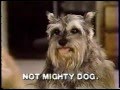 Mighty Dog commercial (1982)