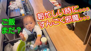 朝ごはんが待ちきれなくてお手伝いしてくれる赤ちゃん。。。涙【何気ない日常260】４歳児男女双子＆生後１歳３ヶ月赤ちゃん