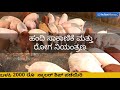 ಹಂದಿ ಸಾಕಾಣಿಕೆ ಬಿಸಿನೆಸ್ ಪ್ರಾರಂಭಿಸುವುದು ಹೇಗೆ how to start a pig farming business