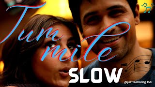 Tum Mile || Tum Mile || Emraan Hashmi || Javed Ali  #emraanhashmi #bollywoodsongs #justrelaxinglofi
