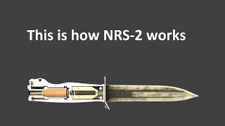 This is how NRS-2 works | WOG |