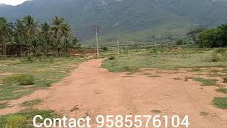 Agri/Farm land property for sale at Thudiyalur Coimbatore