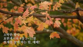 [물댄동산교회] 소박한 밥상 | 11월 27일(수) 김용귀 목사