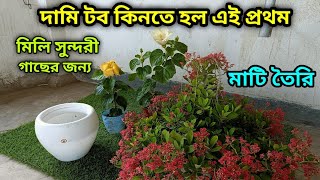 বাধ্য হয়ে এই প্রথম দামি টব কিনতে হল আমাকে, সেরা গাছের দরকার সেরা টব, দেখে নিন কাটিং ও পটিং