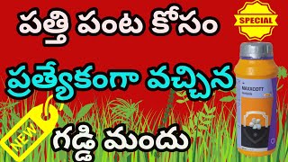 పత్తి పంట కోసం ప్రత్యేకంగా వచ్చిన కొత్త గడ్డి మందు#MAXXCOTT#Best New Herbicide for Cotton#Weedicide#