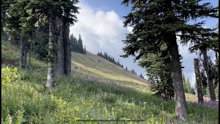 Equanimity \u0026 Activism: Live Q\u0026A with Ajahn Sona from Sun Peaks, BC