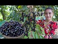 Fresh fruit in my countryside and cook food recipe - Polin lifestyle